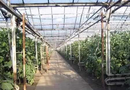 玉溪蔬菜温室大棚建设需考虑的基本条件