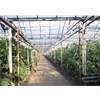 玉溪蔬菜温室大棚建设需考虑的基本条件