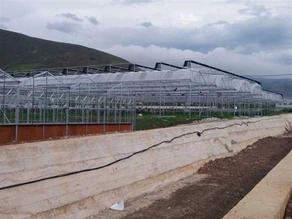 云南温室大棚工程如何提高农作物水分利用效率？